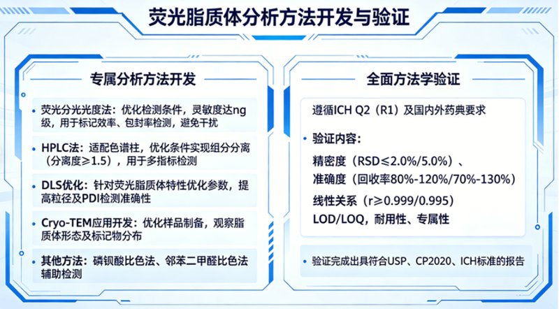 荧光脂质体质量研究与分析方法开发CDMO业务-Sur-Release生物技术服务