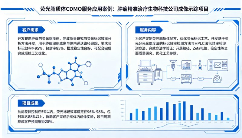 荧光脂质体质量研究与分析方法开发CDMO业务-Sur-Release生物技术服务