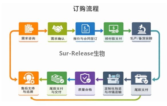 荧光脂质体质量研究与分析方法开发CDMO业务-Sur-Release生物技术服务