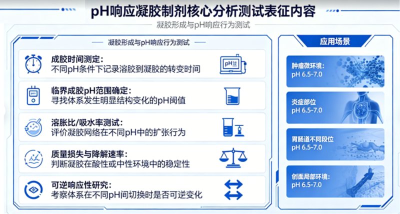 pH响应凝胶制剂之分析测试表征与质量控制-CDMO服务