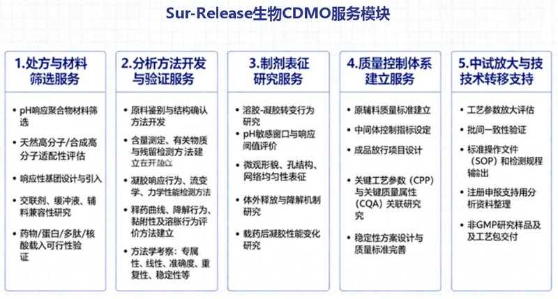 pH响应凝胶制剂之分析测试表征与质量控制-CDMO服务