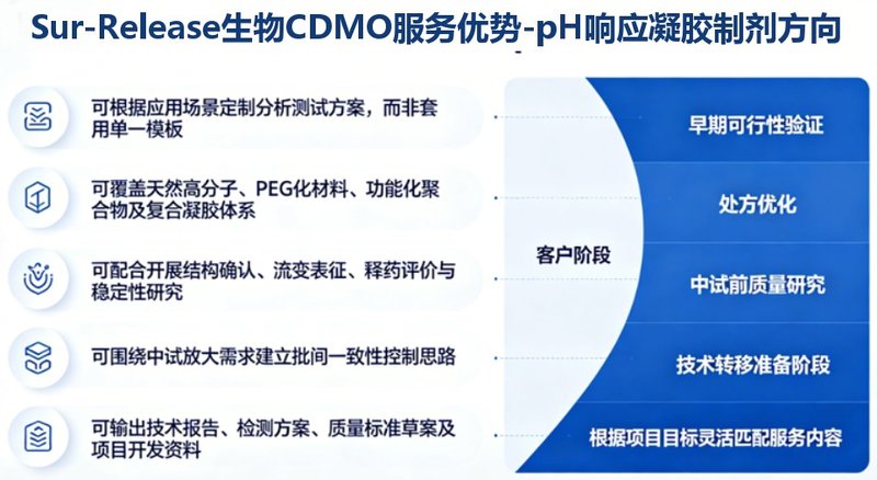 pH响应凝胶制剂之分析测试表征与质量控制-CDMO服务