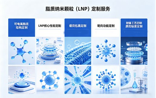 LNP脂质纳米颗粒定制合成厂家|Sur-Release生物技术服务