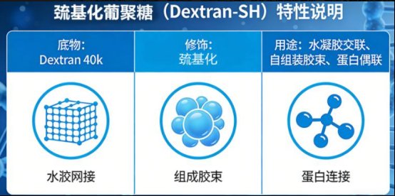 多糖药物载体修饰定制:PEG等官能化修饰,多糖纳米粒微球水凝胶等载体定制合成