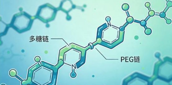 多糖药物载体修饰定制:PEG等官能化修饰,多糖纳米粒微球水凝胶等载体定制合成