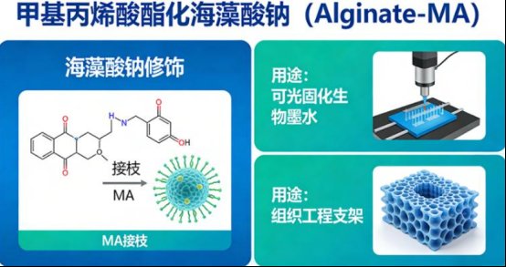 多糖药物载体修饰定制:PEG等官能化修饰,多糖纳米粒微球水凝胶等载体定制合成