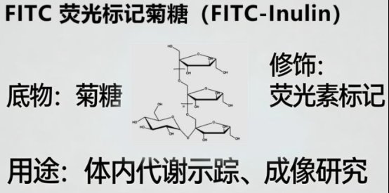 多糖药物载体修饰定制:PEG等官能化修饰,多糖纳米粒微球水凝胶等载体定制合成