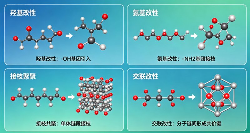 糖化学定制服务，覆盖合成、修饰、糖缀合物多链条科研需求