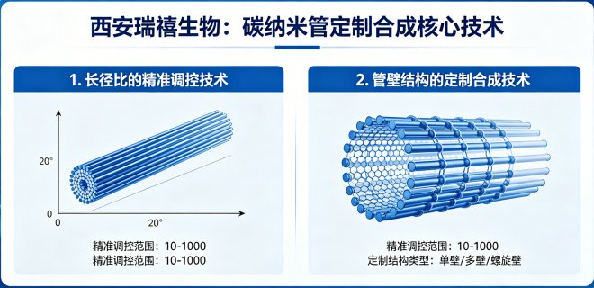 碳纳米管管壁结构及长径比定制技术方案-Sur-Release生物技术服务
