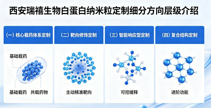 载药白蛋白纳米粒缓释递送体系与定制服务-Sur-Release生物技术服务
