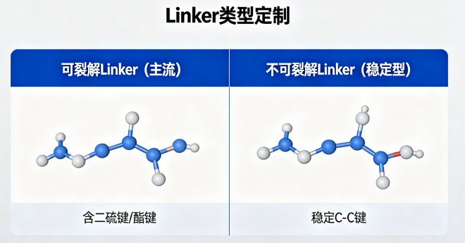 ADC抗体偶联定制解决方案:Linker设计与DAR优化