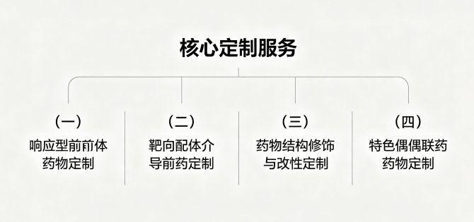 前体药物定制、药物修饰与改性服务——Sur-Release生物技术服务
