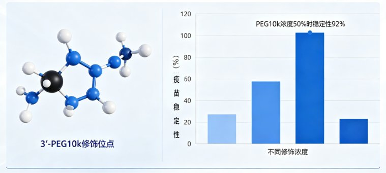 核酸PEG化修饰定制服务（多种分子量可选）