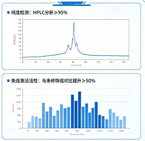 核酸PEG化修饰定制服务（多种分子量可选）