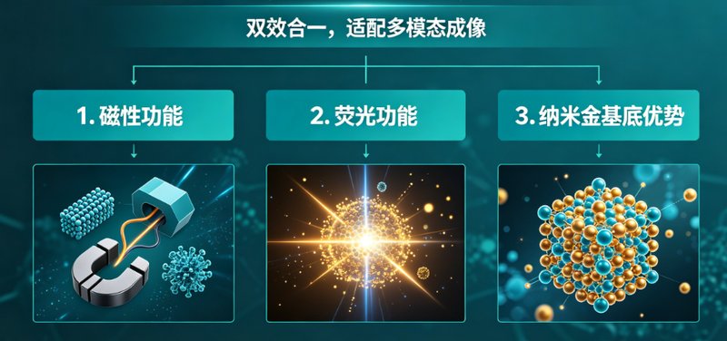 荧光/磁双功能纳米金定制:构建多模态成像材料体系