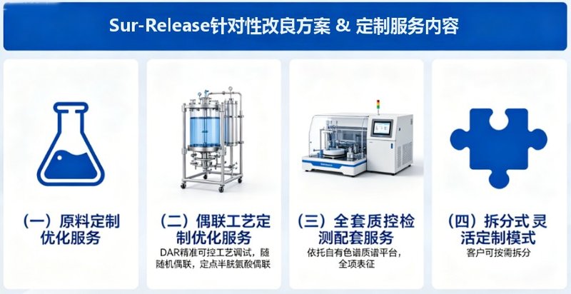 ​ADC抗体偶联定制合成丨Sur-Release生物技术服务