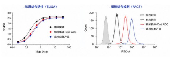 ​ADC抗体偶联定制合成丨Sur-Release生物技术服务