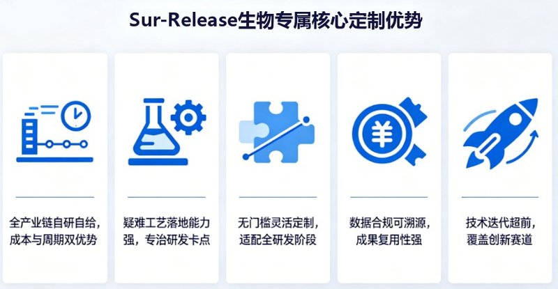 ​ADC抗体偶联定制合成丨Sur-Release生物技术服务