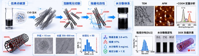 单壁/多壁碳纳米管定制方案（长径比可控 · 高纯分散）——Sur-Release生物技术服务
