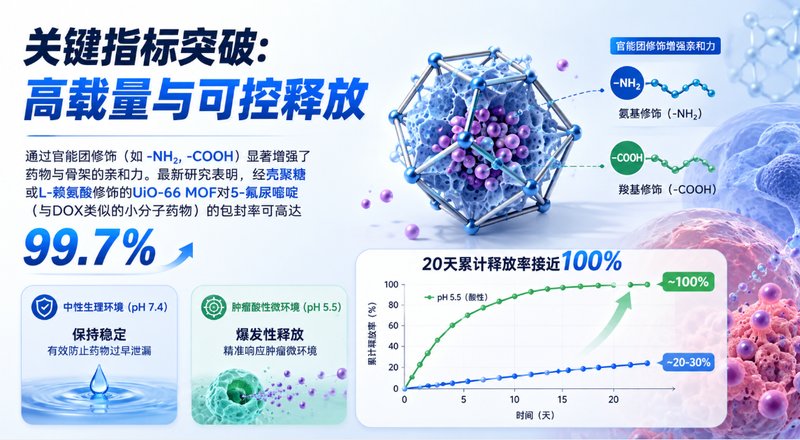 如何实现DOX/顺铂/阿霉素的高载量与精准释放?Sur-Release生物技术服务