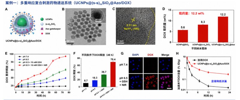 上转换介孔载药定制:合成难?负载低?Sur-Release生物技术服务