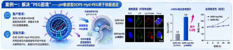 DSPE/DOPE-PEG改性定制：Sur-Release生物技术服务