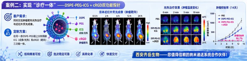 DSPE/DOPE-PEG改性定制：Sur-Release生物技术服务