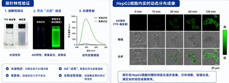水溶性AIE染料-天然药物偶联定制：黄酮/生物碱类靶向荧光衍生物 | Sur-Release生物技术服务