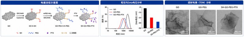 GO氧化石墨烯载药定制:粒径可调、功能化修饰、多药物负载方案 | Sur-Release生物技术服务