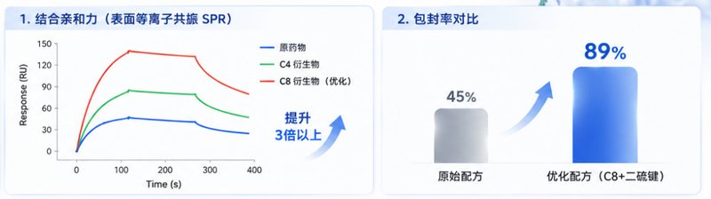 白蛋白纳米粒靶向载药与表面修饰定制服务