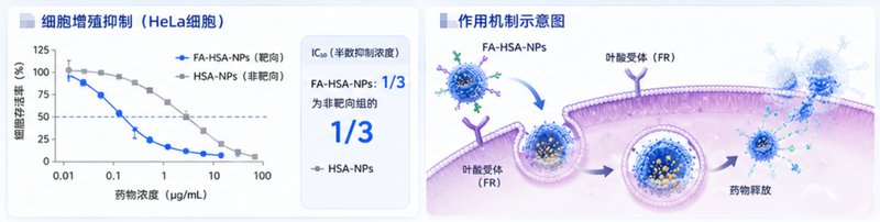 白蛋白纳米粒靶向载药与表面修饰定制服务