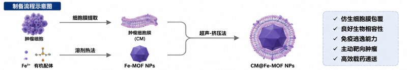 多功能MOF纳米载体的载药与荧光功能化定制