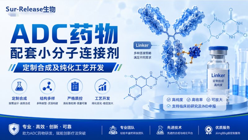 ADC药物配套小分子Linker定制合成与精制纯化工艺研发 —— Sur-Release生物技术服务