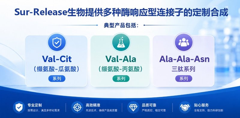 ADC药物配套小分子Linker定制合成与精制纯化工艺研发 —— Sur-Release生物技术服务