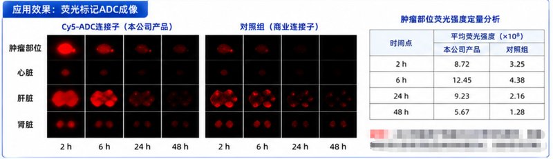 ADC药物配套小分子Linker定制合成与精制纯化工艺研发 —— Sur-Release生物技术服务