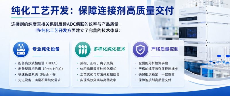 ADC药物配套小分子Linker定制合成与精制纯化工艺研发 —— Sur-Release生物技术服务