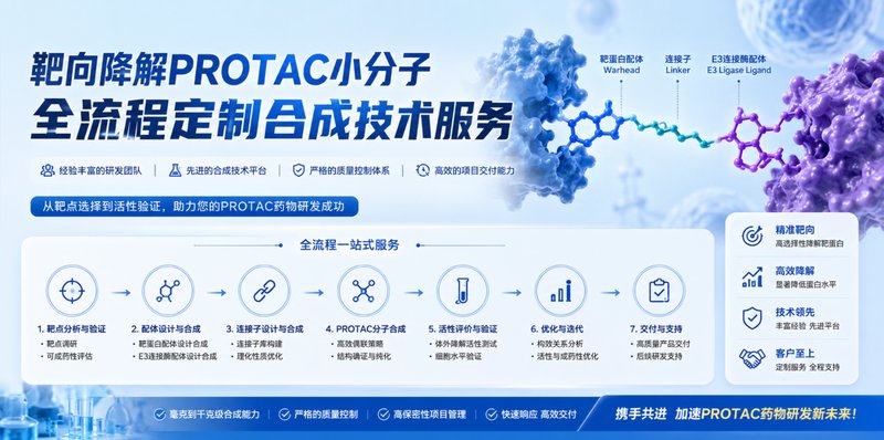 靶向降解PROTAC小分子全流程定制合成技术服务