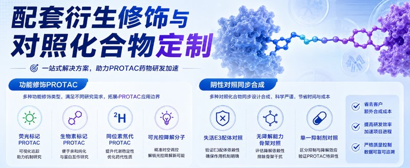 靶向降解PROTAC小分子全流程定制合成技术服务