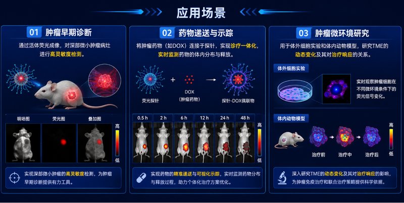 定制 pH/ROS/GSH响应多糖荧光探针实现肿瘤微环境可视化