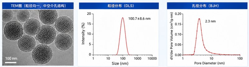 PEG修饰SiO₂纳米颗粒定制,Sur-Release生物技术服务