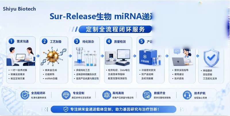 从载体合成到miRNA包载：纳米金递送体系专属定制｜Sur-Release生物技术服务基因纳米载体