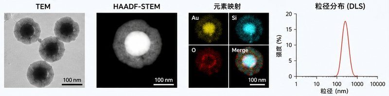 从载体合成到miRNA包载：纳米金递送体系专属定制｜Sur-Release生物技术服务基因纳米载体