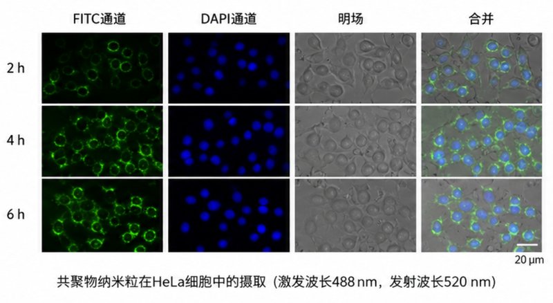 荧光修饰聚乳酸PLA定制合成，Sur-Release生物技术服务专业研发制备