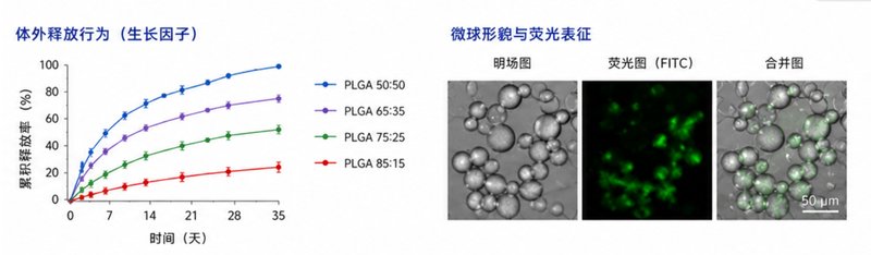 荧光修饰聚乳酸PLA定制合成，Sur-Release生物技术服务专业研发制备