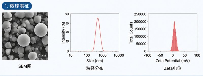 PLGA/PLA/PCL聚合物微球合成定制，缓释载体专用