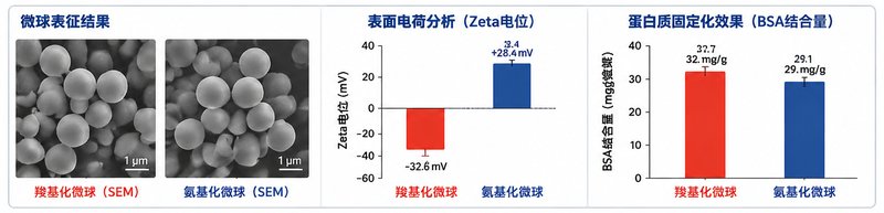 PLGA/PLA/PCL聚合物微球合成定制，缓释载体专用