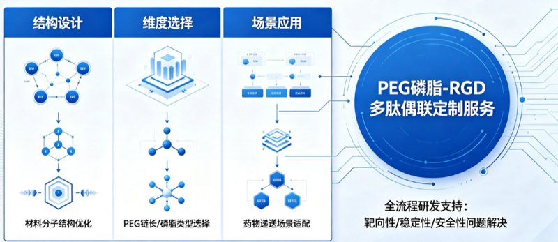 PEG磷脂-RGD多肽偶联定制服务|Sur-Release生物技术服务