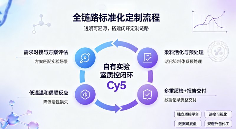 Cy5荧光标记蛋白定制合成:高效偶联、高荧光稳定性|Sur-Release生物技术服务