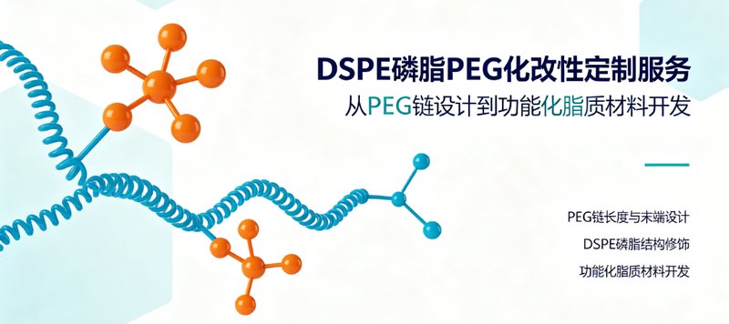 DSPE-PEG定制合成 · 功能化脂质开发