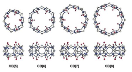 一站式瓜环基超分子聚合物定制合成方案 —— Sur-Release生物技术服务 [7]为例）